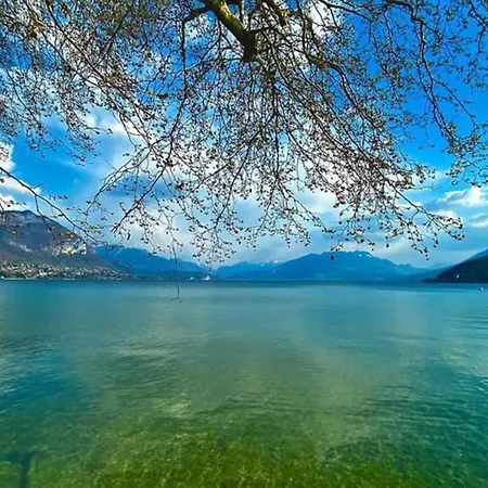 Alp - Triangle Dor Parking Gratuit 3 Annecy